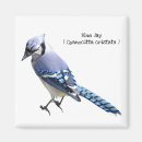 Recherche de geai bleu magnets Faune