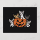 Recherche de halloween vintage cartes postales Citrouille
