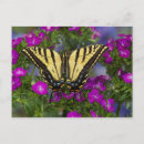 Recherche de imitation cartes postales Fleur