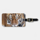 Zoek naar tijger accessoires Foto