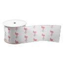 Recherche de flamants roses rubans Flamant rose