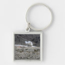 Recherche de explosion porteclés Destruction