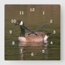 Recherche de gosse horloges Canadian goose
