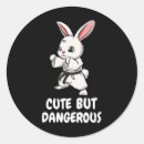 Recherche de le judo autocollants Miyagi