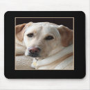 Recherche de labrador jaune tapis souris Chien
