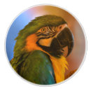 Recherche de jungle boutons et poignées de porte Animal
