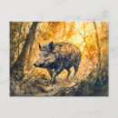 Recherche de sanglier cartes postales Animaux