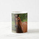 Recherche de cheval arabe tasses Châtaigne