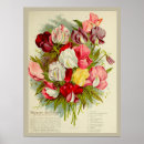 Zoek naar boeket bloemen posters Gardening