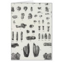 Zoek naar rapport briefkaarten Nieuw