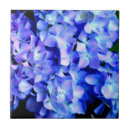 Recherche de violet clair carreaux Bleu