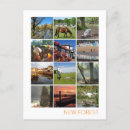 Recherche de paysage de nature cartes postales Angleterre
