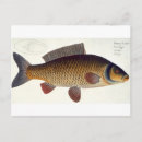 Zoek naar marine life briefkaarten Andreas ludwig