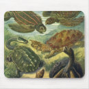 Recherche de reptiles tapis souris De