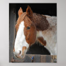 Zoek naar mooi paard kunst Ruiter