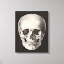 Recherche de crâne humain art Anatomie humaine