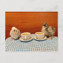 Recherche de pique cartes postales Poulet