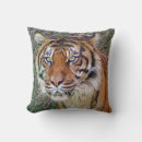 Recherche de de tigre coussins Cool