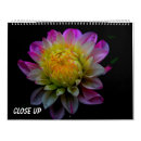 Recherche de gerbera bureau fournitures Coloré