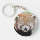 Zoek naar red panda sleutelhangers Dier