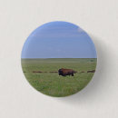 Recherche de bisons badges Bison américain