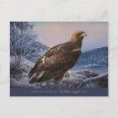 Recherche de ferdinand cartes postales Aigle