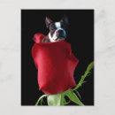 Recherche de happy valentines day cartes postales Romantique