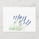 Recherche de fleurs violettes cartes postales Aquarelle
