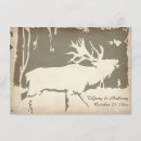 Recherche de élan invitations Chasse