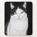 Recherche de noir et blanc chat tapis souris Animal
