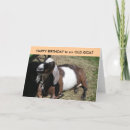 Recherche de vieille chèvre vœux cartes Vieux