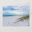 Recherche de de matin cartes postales Tropical