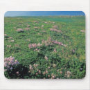 Recherche de bateaux croisière tapis souris Nature