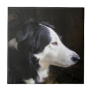 Recherche de écouteurs carreaux Chien