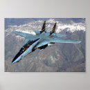 Recherche de tomcat posters F 14