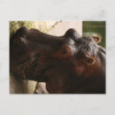 Recherche de soixante quatre cartes postales Pour tous