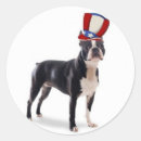 Recherche de chien sportif autocollants Toute personne