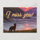 Recherche de carte chats cartes postales Nature