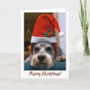 Zoek naar schnauzer honden kaarten Vakantie