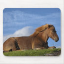 Zoek naar rusten muismatten Buiten