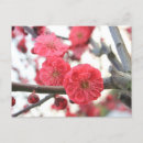 Recherche de paysage fleuri cartes postales Printemps