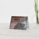 Recherche de image mignonne de chat vœux cartes Drôle