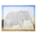 Zoek naar olifanten notitieblokken Wilde dieren