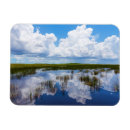 Recherche de marais magnets Nature