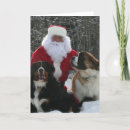 Zoek naar saint bernard briefkaarten Kerstmis