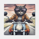 Recherche de cycliste magnets Mignon