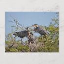 Recherche de nester cartes postales Bleu