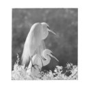 Recherche de floride blocsnotes Naples