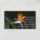 Recherche de paradis cartes visite Fleur