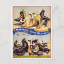 Recherche de de cirque cartes postales Grand sommet